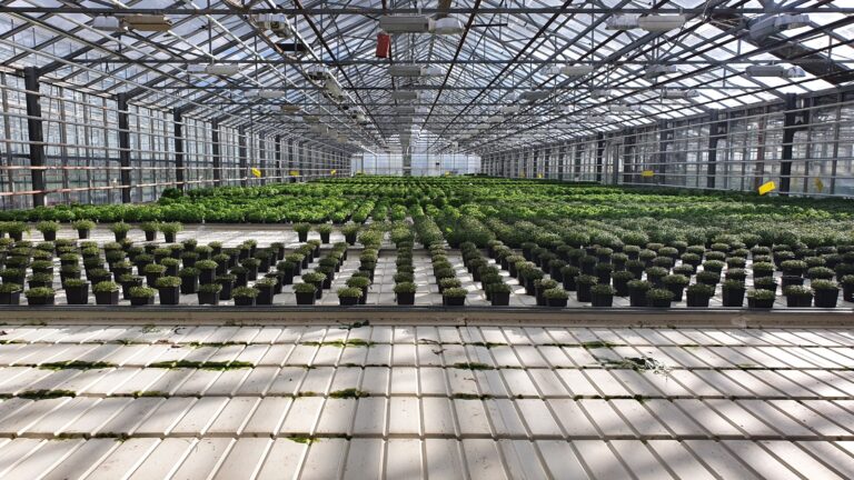 Read more about the article Örþing í Ölfusi