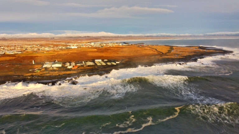 Read more about the article Ölfus ,,sætasta stelpan á ballinu“