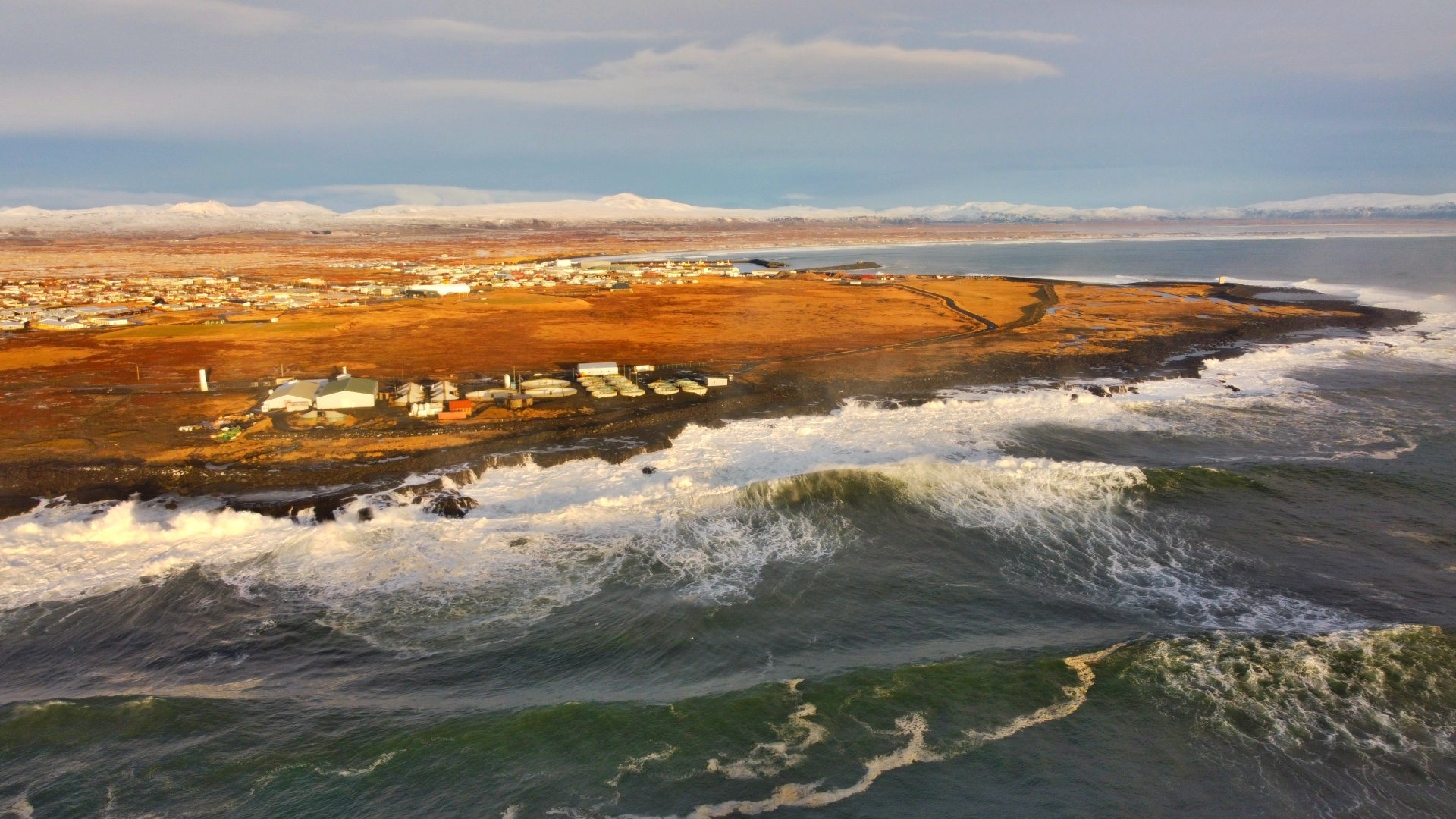 Read more about the article Ölfus ,,sætasta stelpan á ballinu“