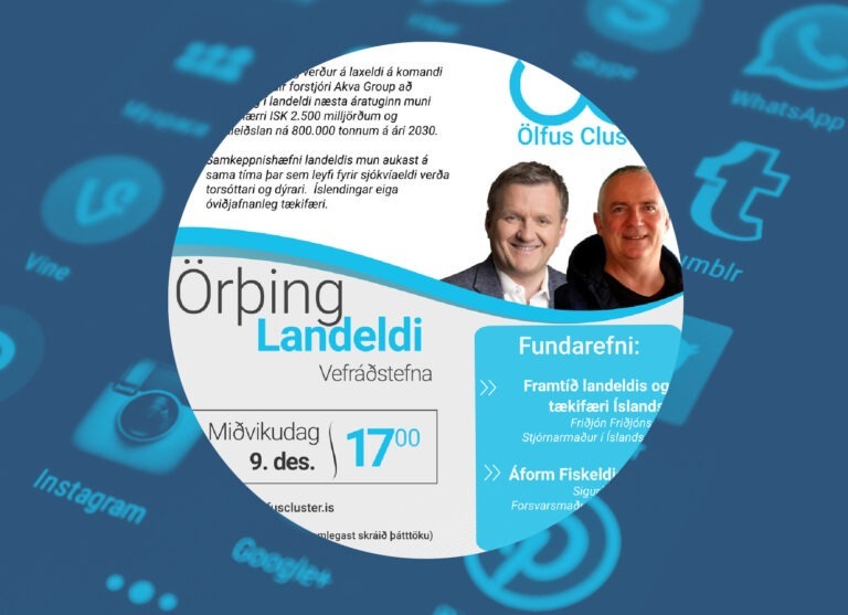 Read more about the article Örþing í Ölfusi á vefnum