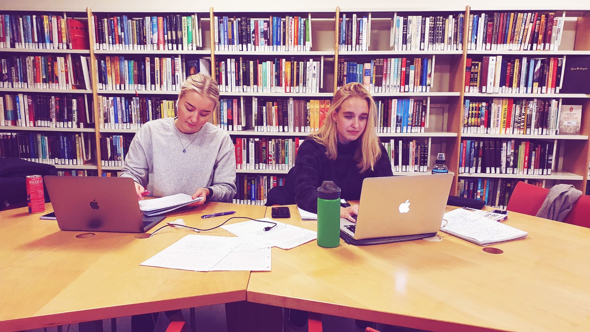 Read more about the article Sumarvinna fyrir háskólanema