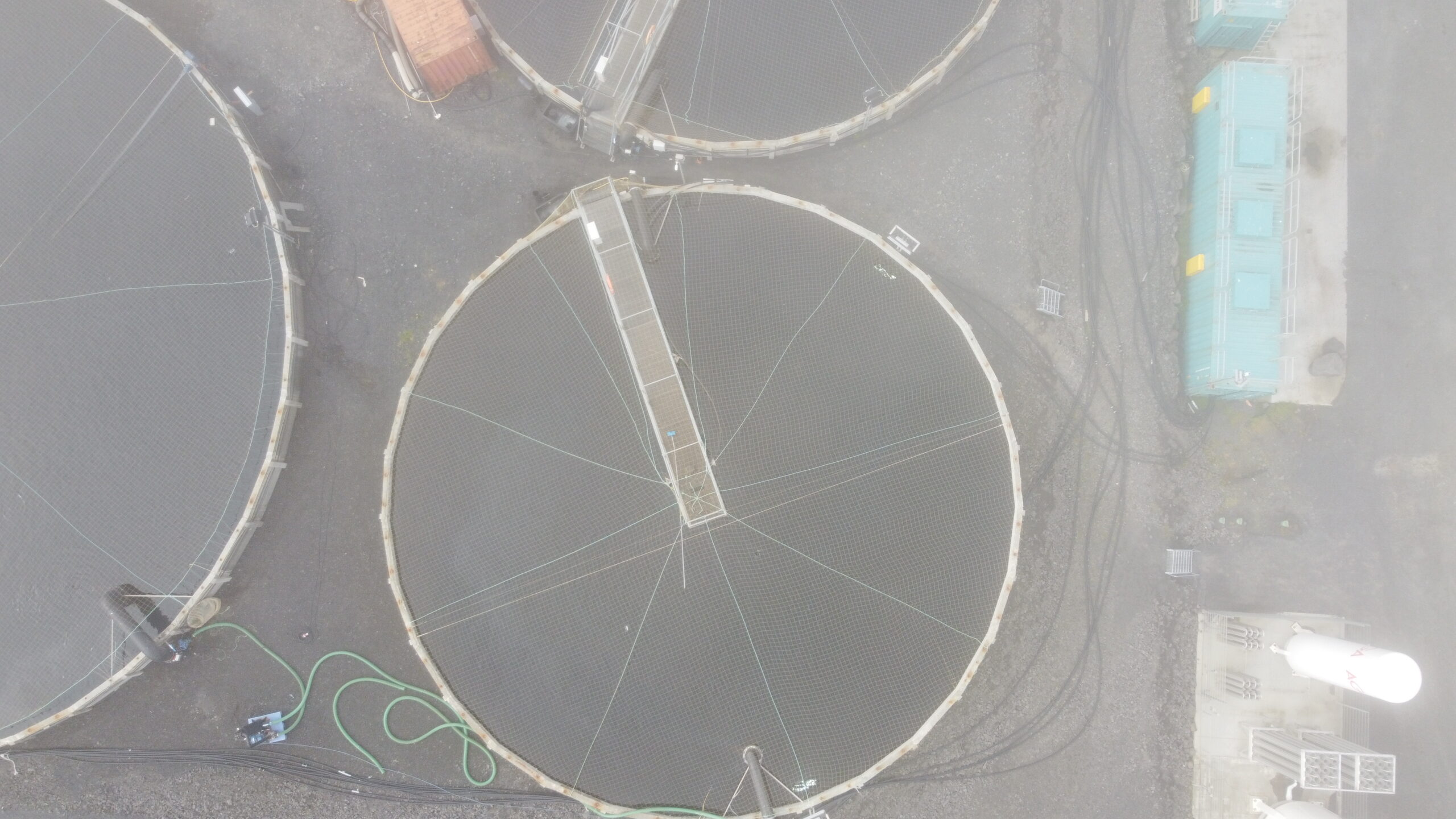 Read more about the article Stefnt er á að ráðstefna fiskeldis og ræktunargreina verði haldin í október 2021.