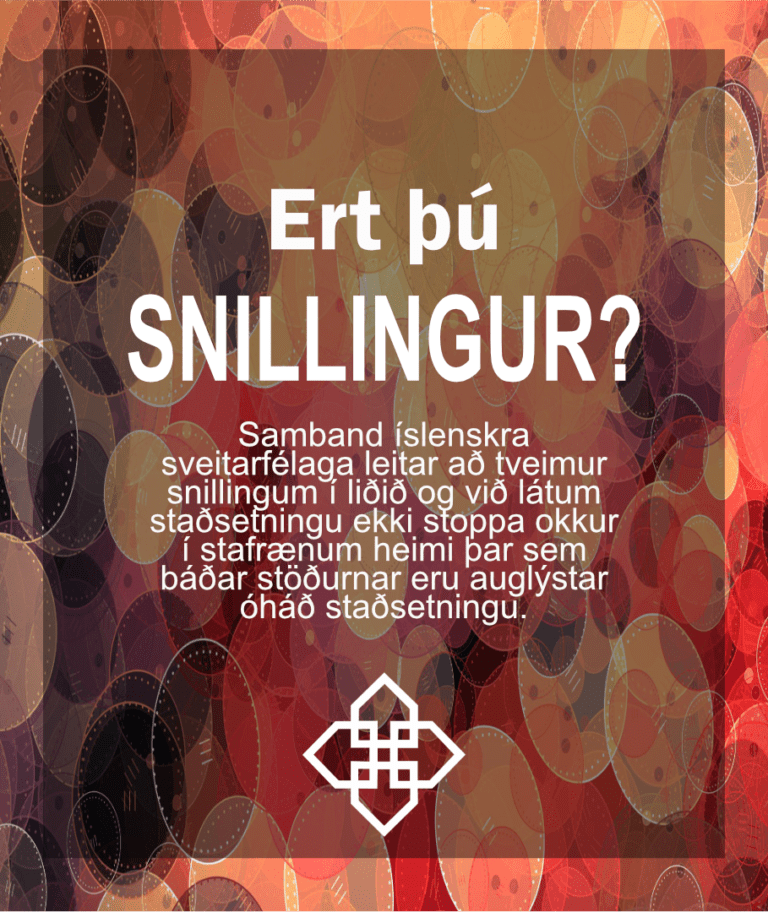 Read more about the article Auglýst eftir snillingum