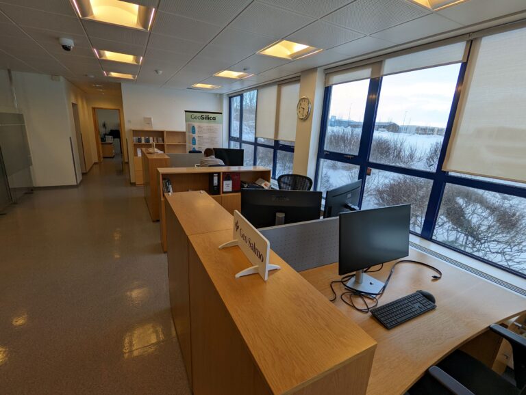 Read more about the article Sumarstörfin