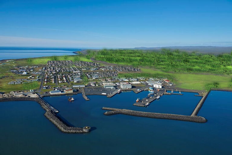 Read more about the article Þorláksskógaverkefni gengur vel