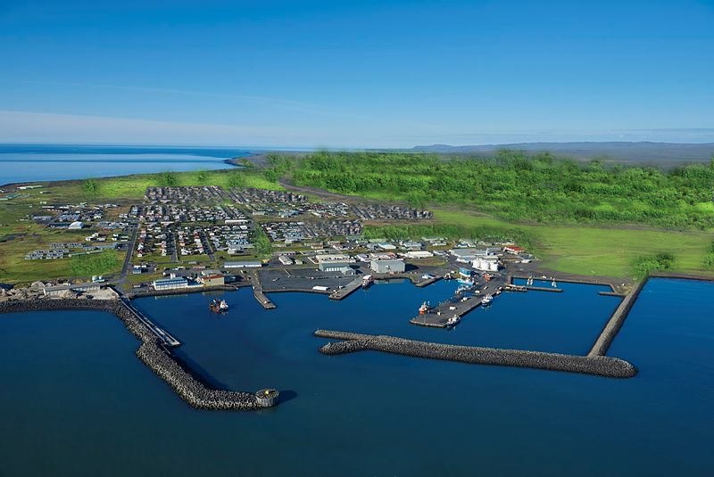 Read more about the article Þorláksskógaverkefni gengur vel