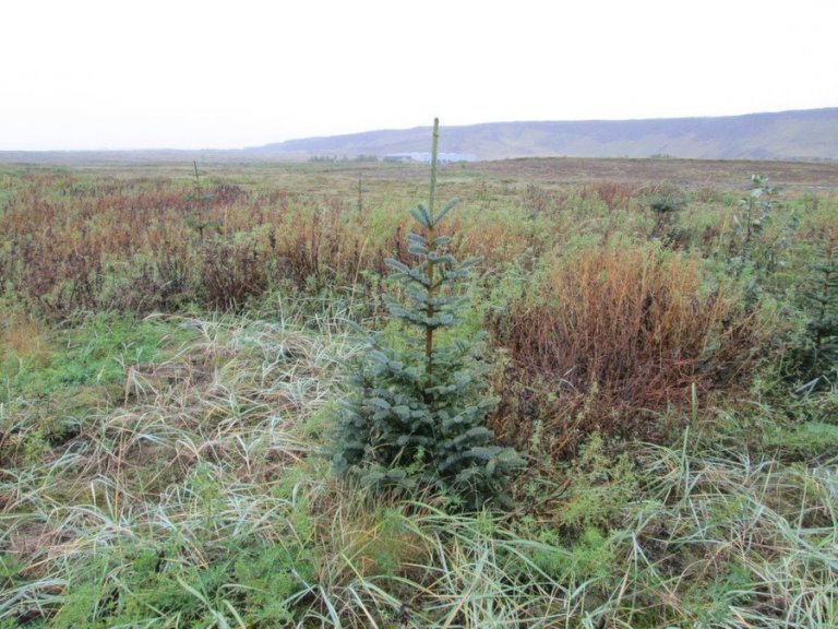 You are currently viewing Auglýsum eftir nema í sumarstarf