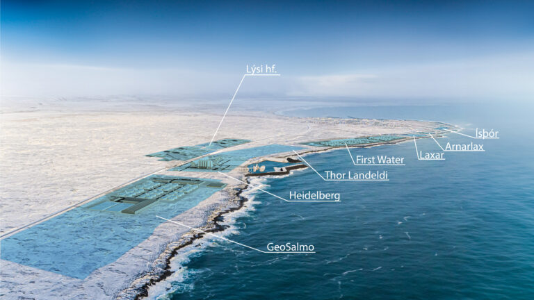 Read more about the article Aðalfundur ÖC