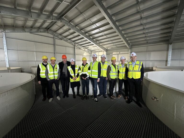 Read more about the article Thor landeldi hefur lokið við 4 ma. kr. fjármögnun