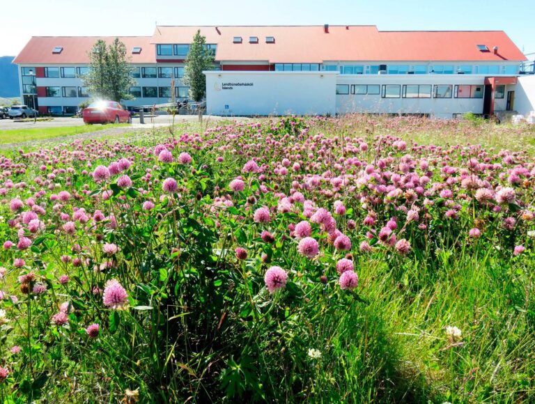 Read more about the article LBHÍ gerir samning