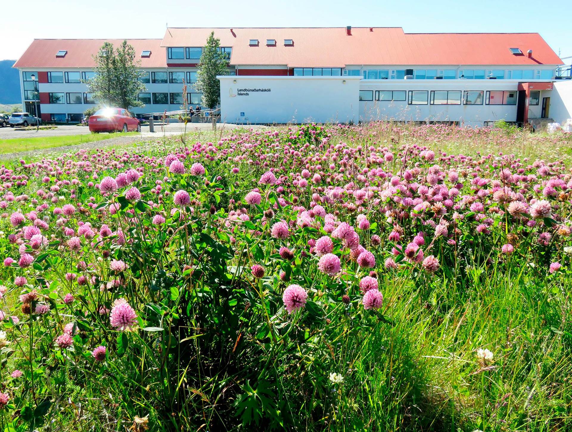 You are currently viewing LBHÍ gerir samning