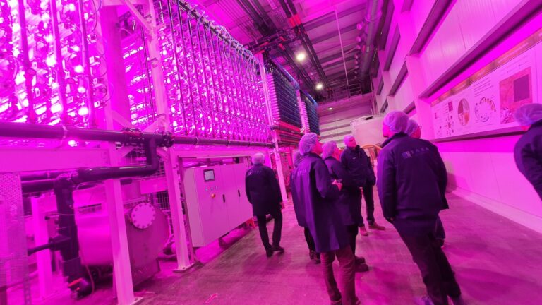 Read more about the article VAXA Technologies – Nýsköpun og sjálfbær matvælaframleiðsla í hjarta Ölfuss