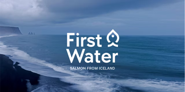 Read more about the article Störf í boði hjá First Water